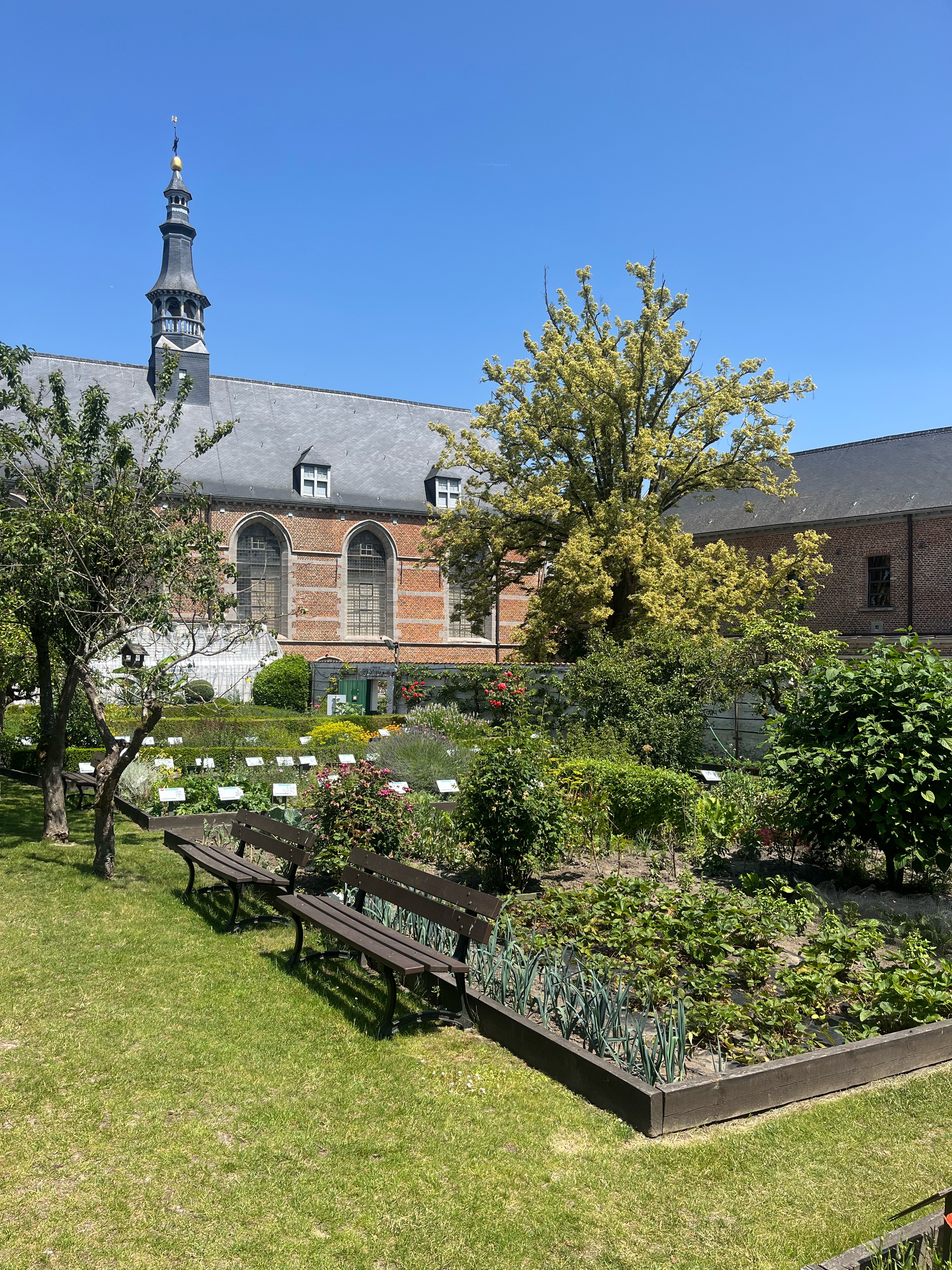IMG_1848_Original.jpg